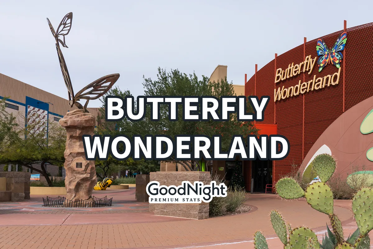 A playful exterior shot featuring a butterfly sculpture and the Butterfly Wonderland sign, with cacti in the foreground. The scene is bright and inviting, signaling a unique hands-on adventure for children and families.
