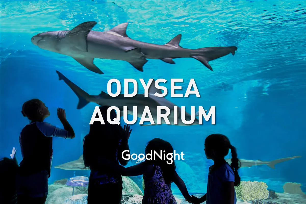 An interior shot of a vibrant aquarium showcasing sharks swimming overhead while children interact and watch in wonder. The blue water backdrop and engaged families create a mood of discovery and excitement, highlighting a fun, educational outing for all ages.